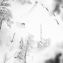 Niclas f&aring;ngade &ouml;gonblicket utm&auml;rkt: djupsn&ouml; i . Foto: Niclas Magnusson. &Aring;kare: Linus Zetterlund.