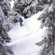 Foto: Emma Renstr&ouml;m. &Aring;kare: Johan Berg.