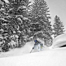 Puder! s/v och f&auml;rg. neatimage pga ISObrus.. Foto: Adrian Helly-Hansen. &Aring;kare: Viktor Roos.