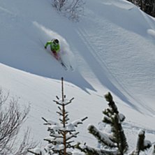 Foto: Henrik D&oslash;vre Jr.. &Aring;kare: Maria D. Thorvik.