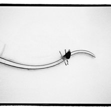 En dag n&auml;r vi hade d&aring;ligt v&auml;der i Utah drog vi . Foto: Mattias Fredriksson. &Aring;kare: Henrik Windstedt.