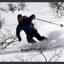 Topptur p&aring; S&aring;nfj&auml;llet. Lite flack skogs&aring;kning . Foto: Henrik Persson. &Aring;kare: Anders Johansson.