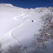 Foto: Mario Marinkovic. &Aring;kare: Christer H&auml;llare.