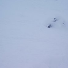 Foto: Susanne Attskog. &Aring;kare: Patrik Attskog.