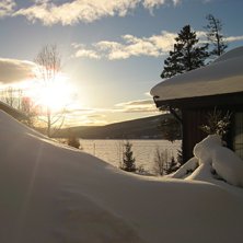 Foto: Johnny Nilsson.