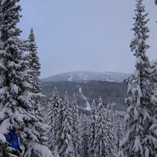 Foto: Matias &Ouml;stblom. &Aring;kare: Karl Samuelsson.