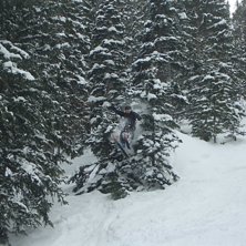 Skogshopp i jackson. Foto: Roland Burboeck. &Aring;kare: David Carlstedt.