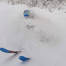 Niseko Foto