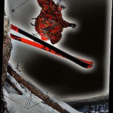 Foto: Jonas Abrahamsson. &Aring;kare: Crille Ridderstr&aring;le.