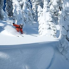 Foto: Johan Palmqvist. &Aring;kare: Henrik Pettersson.