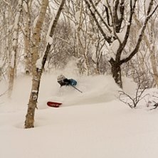 Det sn&ouml;ar tydligen h&auml;r i Japan. Foto: Jens Westerg&aring;rd. &Aring;kare: Wille S&ouml;derstr&ouml;m.