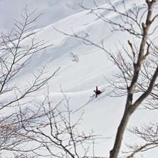Foto: David Clemensson. &Aring;kare: Alexander Thurban.
