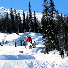 front dub safe

d&aring;lig kamera tyv&auml;r :/. Foto: jocke lendin. &Aring;kare: johan r&ouml;ckner.