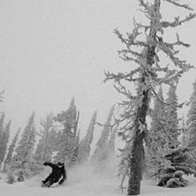 Lite sk&ouml;n skogsskid&aring;kning i Fernie Backcountry. Foto: Jens. &Aring;kare: Max Larsson.