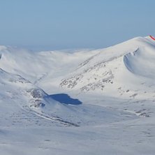 Storsnasen fr&aring;n Syd&ouml;st. . Foto: Mattias Skantz.