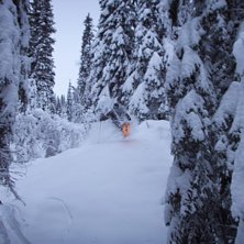 31 oktober. Foto: Ida Forsberg. &Aring;kare: erik.s.