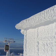 H&auml;rlig bild fr&aring;n en av de f&ouml;rsta v&aring;rdagarna vi. Foto: Erik.