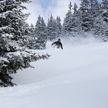 Foto: Kalle Rydberg. &Aring;kare: Anders Olofsson.