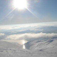 &Aring;h, vackra &Aring;re!. Foto: Idaho. &Aring;kare: Peter.
