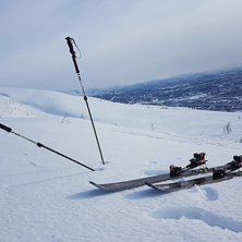 G3 Alpinist Climbing Skins Foto