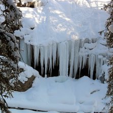 Foto: Anna Sjostrom.