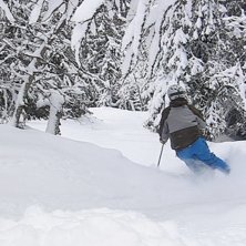 Foto: Rickard Croy. &Aring;kare: Johan Bergdahl.