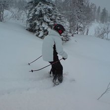 Foto: Jocke. &Aring;kare: Matte  (jag).