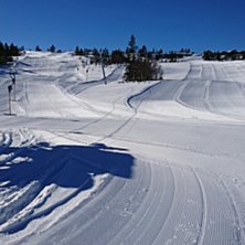 Statusoppdatering 
V&aring;ren er i anmarsj og n&aring; er 7.