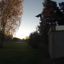 Gainer fr&aring;n ett elsk&aring;p. Foto: alexander figaro. &Aring;kare: viktor olofsson.