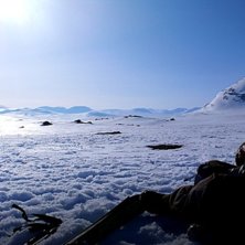 Foto: Bengt Hammari.