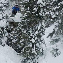 Droppar djupt inne i Duveds skogar. Foto: Adrian Falk. &Aring;kare: Andreas Ojam&auml;e.
