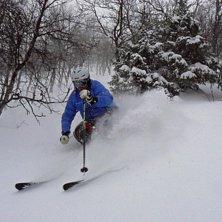 G&ouml;tt puder..... Foto: Stefan Vikberg. &Aring;kare: Fredrik Nordsvahn.