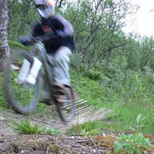 Foto: Henrik Blom. &Aring;kare: Robert Lahti.