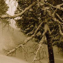 Magiska dagar i St Anton i januari. Foto: Patrik Holmqvist. &Aring;kare: Per Jansson.