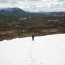 Foto: Johan Sk&ouml;ld.
