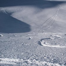 Puder! . Foto: Martin Gillmen.