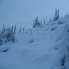 Foto: Love Rynb&auml;ck.