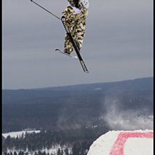 Foto: Andreas Timf&auml;lt / SwedenProPhoto.