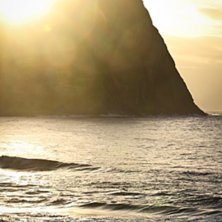 Foto: Christine Hargin.