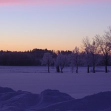 H&auml;rliga vintermorgon 2006. Foto: Jennie Nilson.
