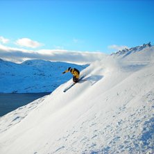 En liten sv&auml;ng med karakt&auml;ristiska &amp;quot;Kj�. Foto: Andreas Kjellberg. &Aring;kare: Simon B&ouml;rjars.