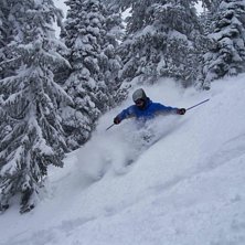 Skogskj&oslash;ring i masse sn&oslash;.. Foto: Espen Berg-Johnsen. &Aring;kare: Gaute Wangen.