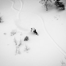 Ravinen i Duved, pl&aring;tad aningens ovanifr&aring;n. Cool. Foto: Sven Hamberg. &Aring;kare: Kristofer Fahlgren.