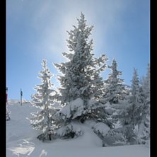 Aa det var ett tr&auml;d. Foto: Martin Thureson.