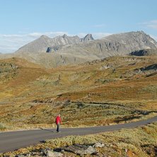 H&ouml;st Longboarding n&auml;r man inte n&aring;tt annat och g. Foto: Kaj S&ouml;derin. &Aring;kare: Mattias Lindvert.