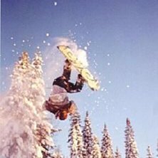 flyger. Foto: Tommt Danielsson. &Aring;kare: Tommy Danielsson.