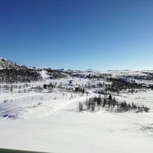 Beitost&oslash;len skiheiser 
Velkommen til Beitost&oslash;len.