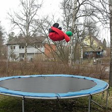 misty 540. Foto: lisa ljungquist. &Aring;kare: hugo ljungquist.