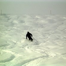 Oj det har sn&ouml;at.. Foto: Bj&ouml;rn Hellstr&ouml;m. &Aring;kare: Been.