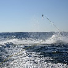 Foto: Kristoffer Andersson. &Aring;kare: Karl Samuelsson.